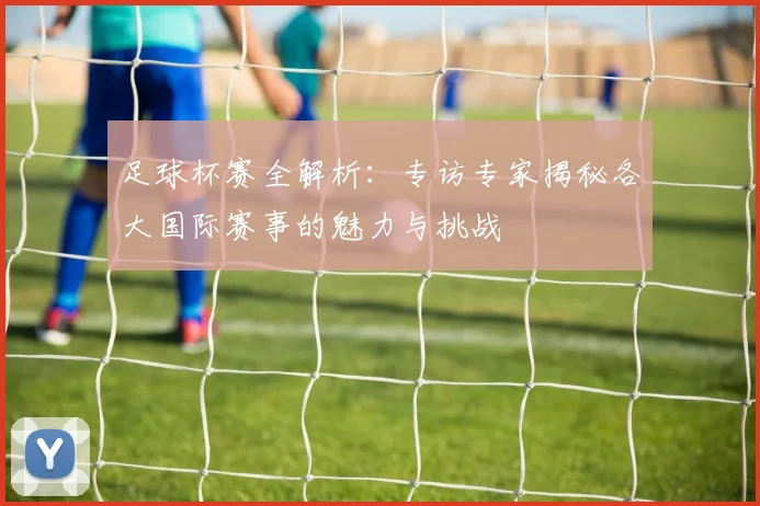 足球杯赛全解析:专访专家揭秘各大国际赛事的魅力与挑战