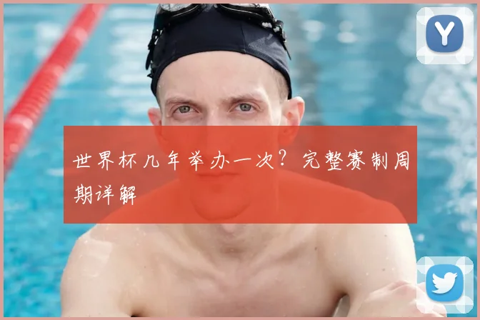 世界杯几年举办一次？完整赛制周期详解