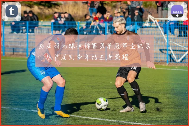 历届羽毛球世锦赛男单冠军全记录：从首届到今年的王者荣耀